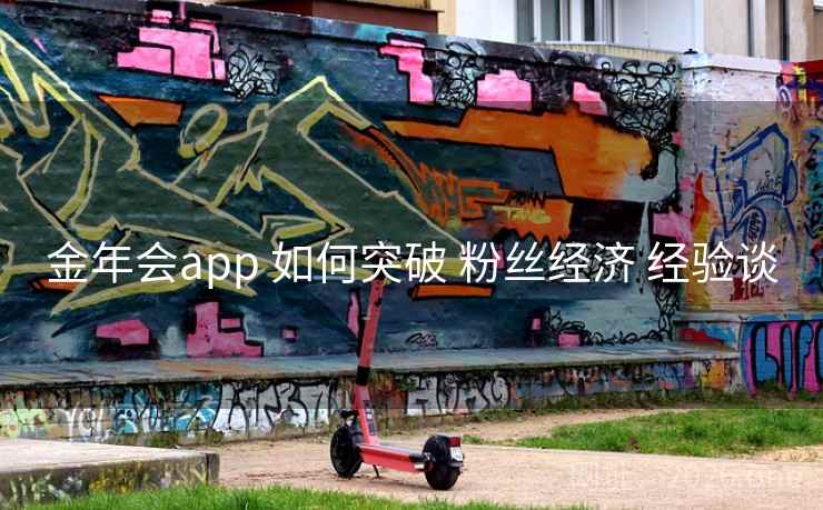 金年会app 如何突破 粉丝经济 经验谈