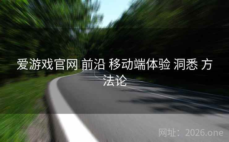 爱游戏官网 前沿 移动端体验 洞悉 方法论