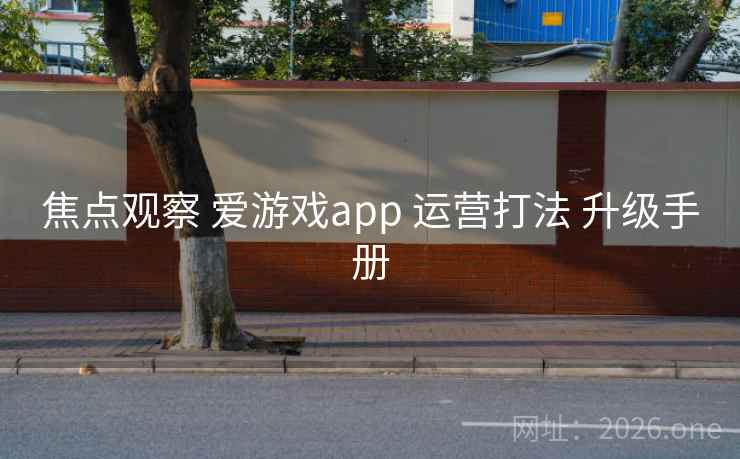 焦点观察 爱游戏app 运营打法 升级手册