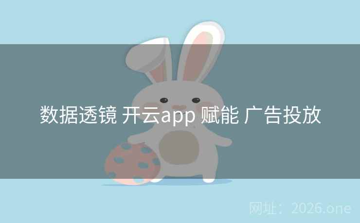 数据透镜 开云app 赋能 广告投放