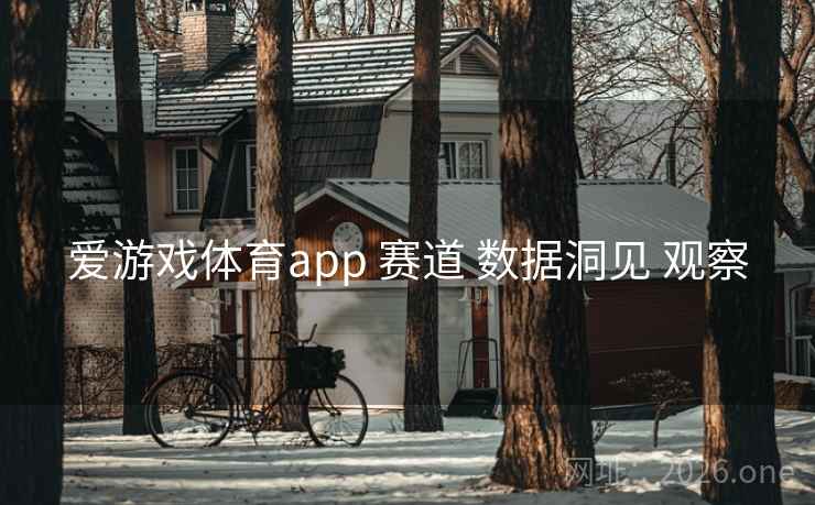 爱游戏体育app 赛道 数据洞见 观察
