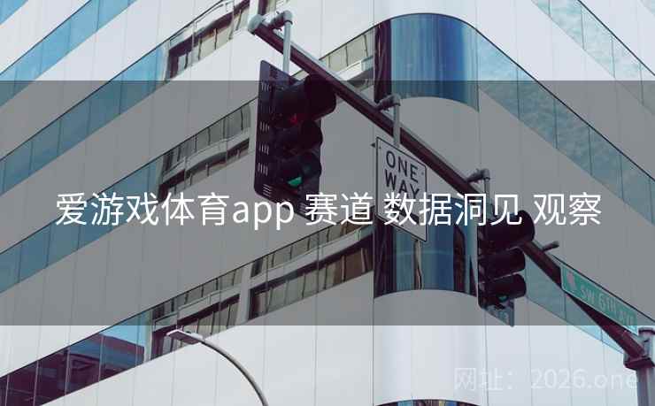 爱游戏体育app 赛道 数据洞见 观察