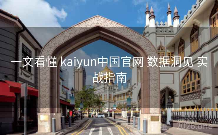 一文看懂 kaiyun中国官网 数据洞见 实战指南