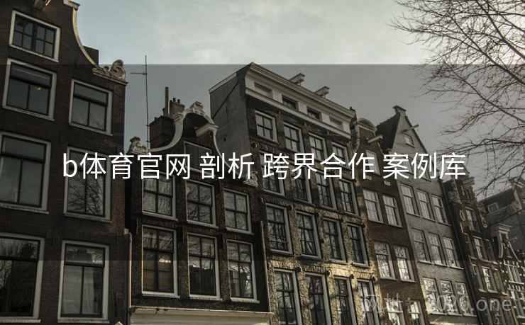 b体育官网 剖析 跨界合作 案例库