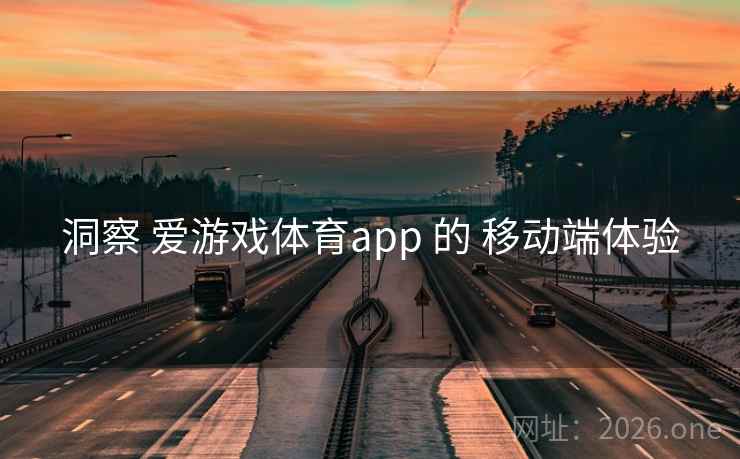 洞察 爱游戏体育app 的 移动端体验