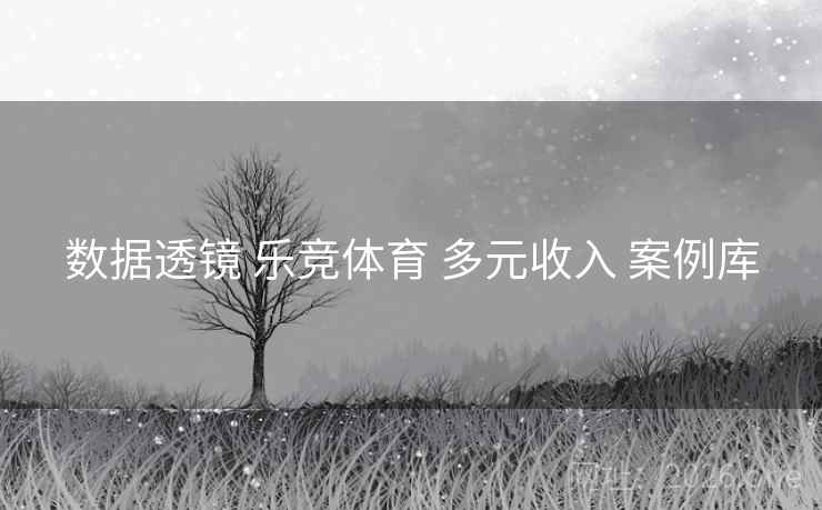 数据透镜 乐竞体育 多元收入 案例库