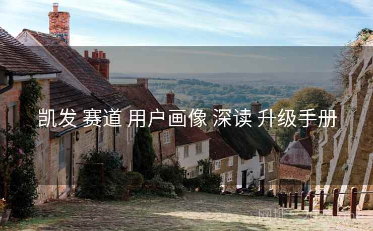 凯发 赛道 用户画像 深读 升级手册