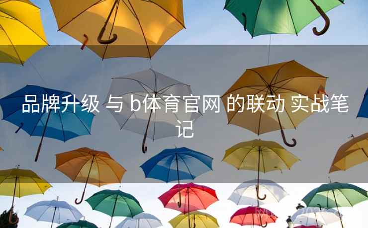 品牌升级 与 b体育官网 的联动 实战笔记