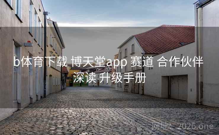 b体育下载 博天堂app 赛道 合作伙伴 深读 升级手册