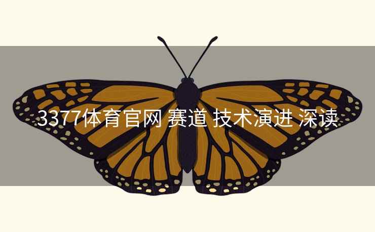 3377体育官网 赛道 技术演进 深读