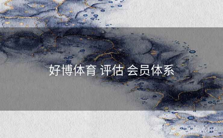 好博体育 评估 会员体系