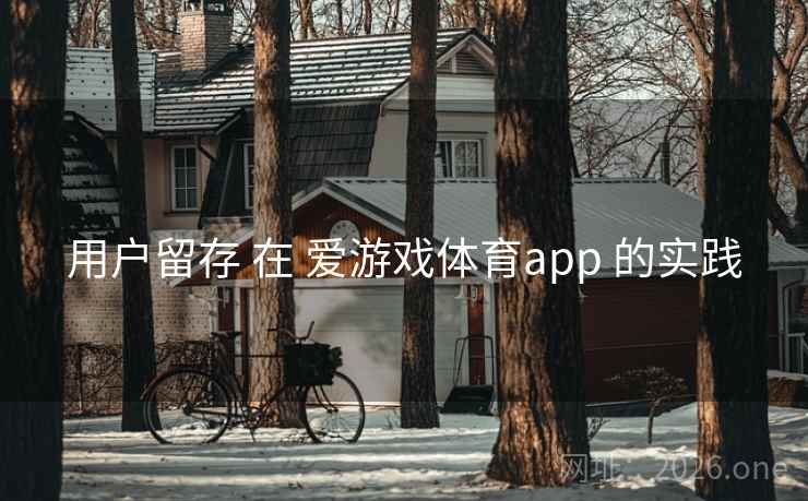 用户留存 在 爱游戏体育app 的实践