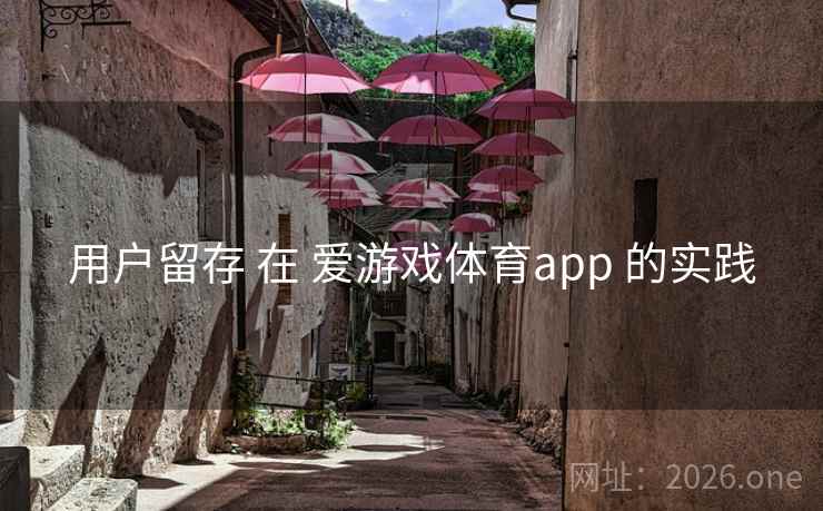 用户留存 在 爱游戏体育app 的实践