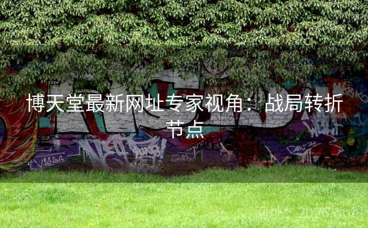 博天堂最新网址专家视角:战局转折节点