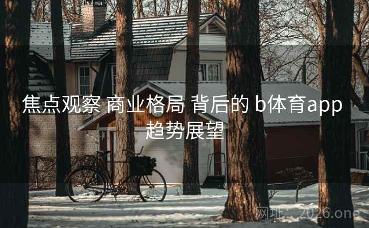 焦点观察 商业格局 背后的 b体育app 趋势展望